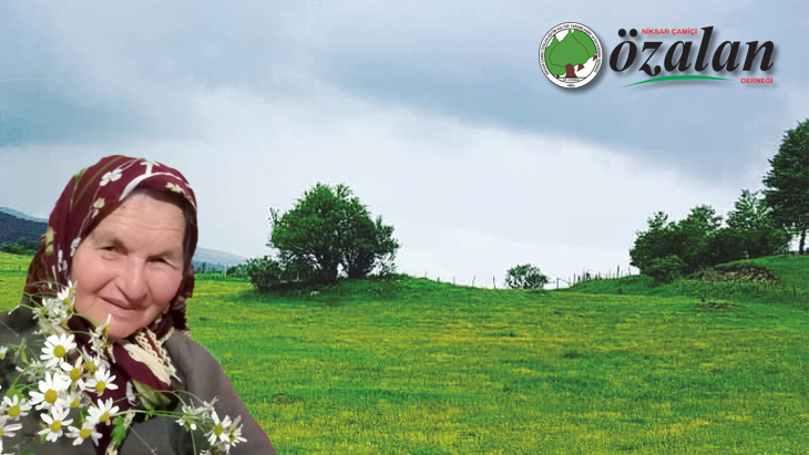 Ayşe YAVUZ