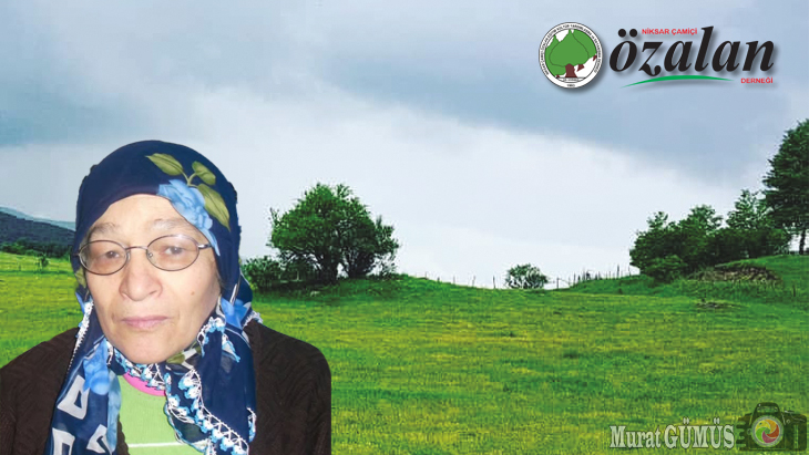 Fadime ÖZDEMİR
