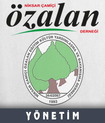Yönetim Kurulu