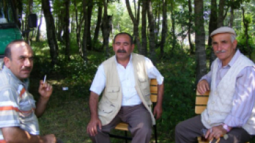 FESTİVAL 2009