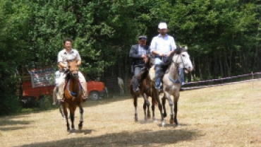 FESTİVAL 2009