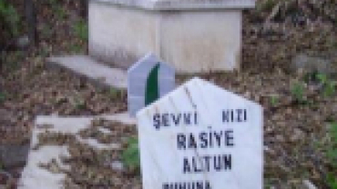 KARIŞIK RESİMLER