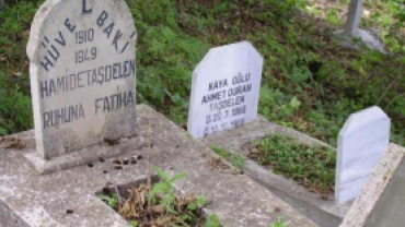 KARIŞIK RESİMLER